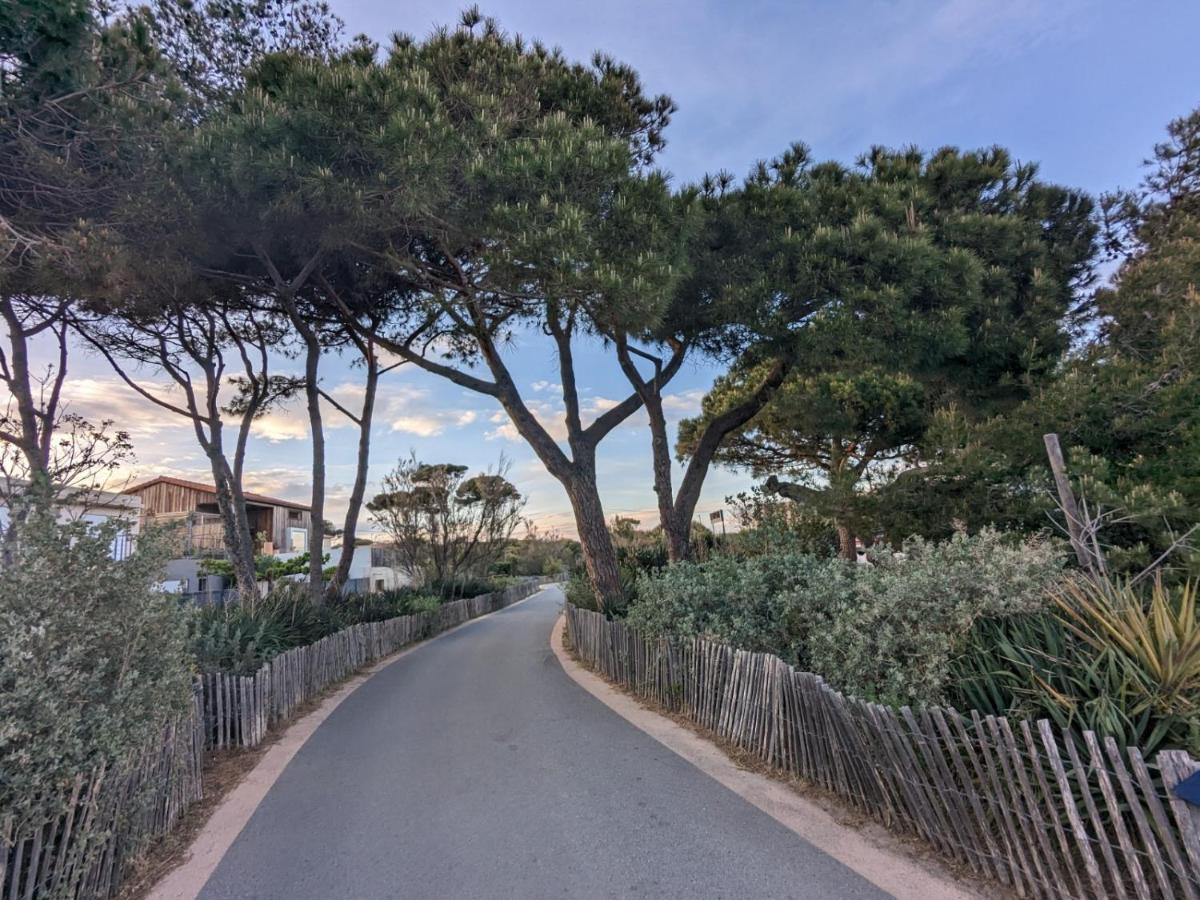 L'Instant Mer - Bord De Mer - Studio Avec Grand Jardin A La Capte Hyères Eksteriør billede