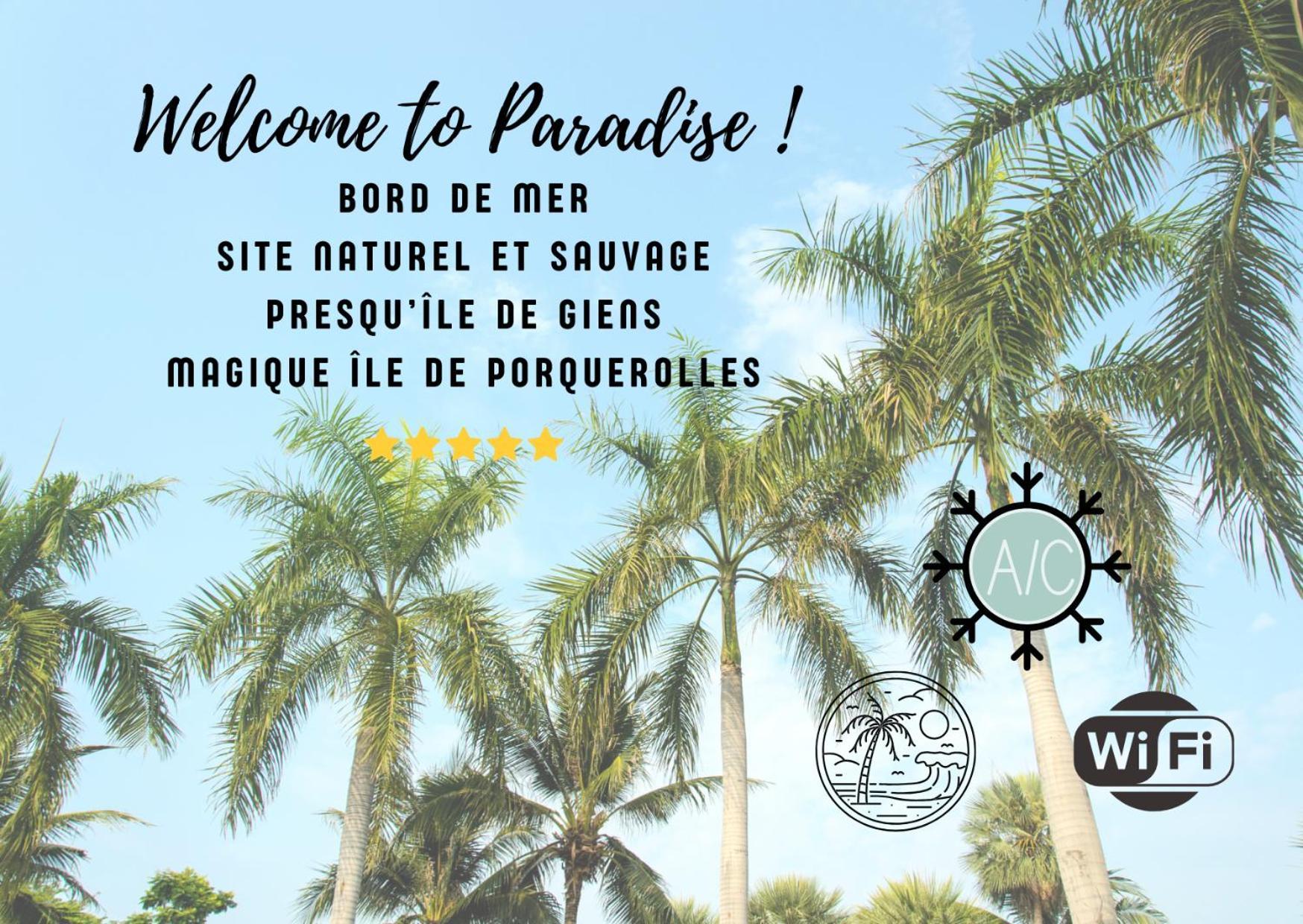 L'Instant Mer - Bord De Mer - Studio Avec Grand Jardin A La Capte Hyères Eksteriør billede