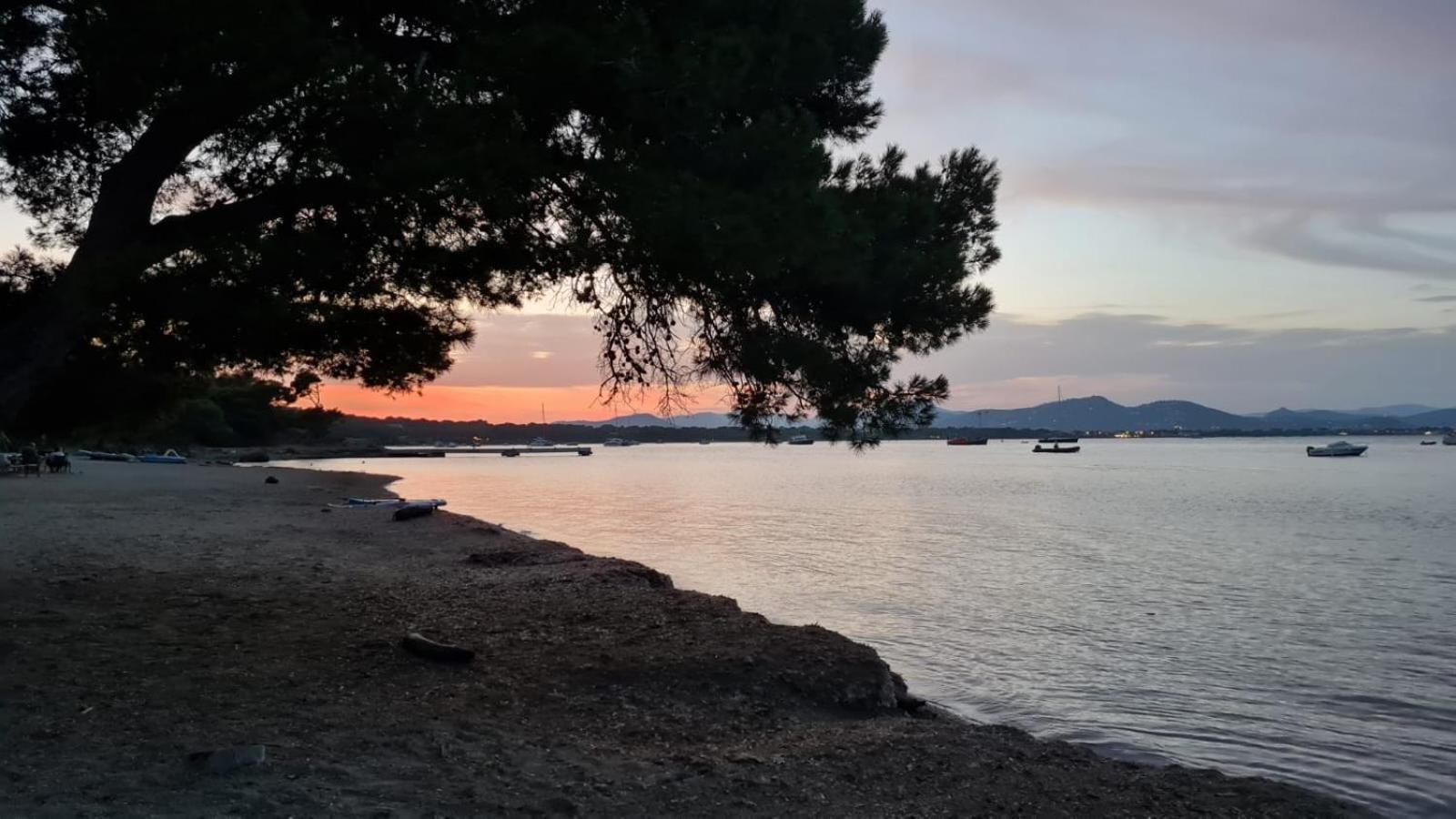 L'Instant Mer - Bord De Mer - Studio Avec Grand Jardin A La Capte Hyères Eksteriør billede