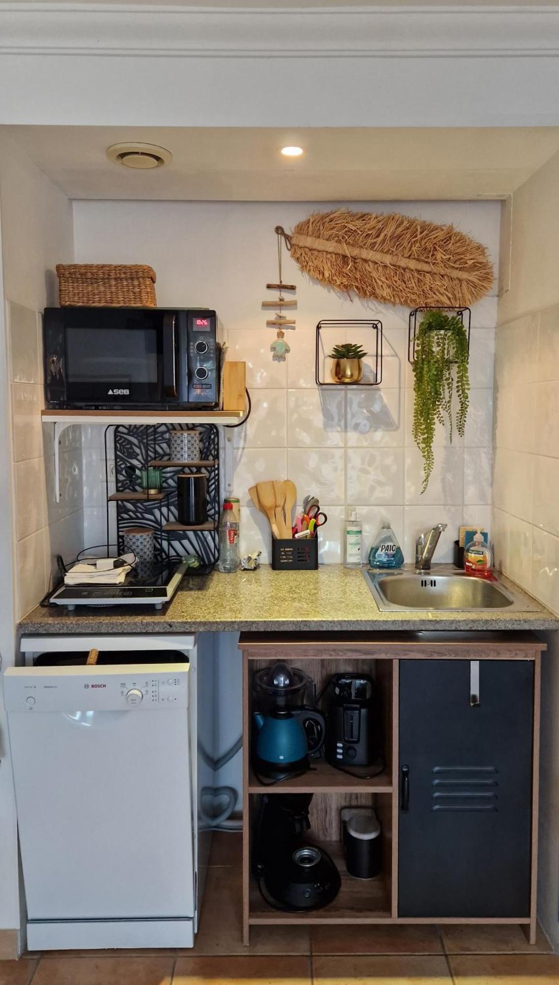 L'Instant Mer - Bord De Mer - Studio Avec Grand Jardin A La Capte Hyères Eksteriør billede